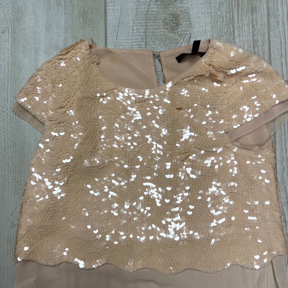 BCBG blush sequins top